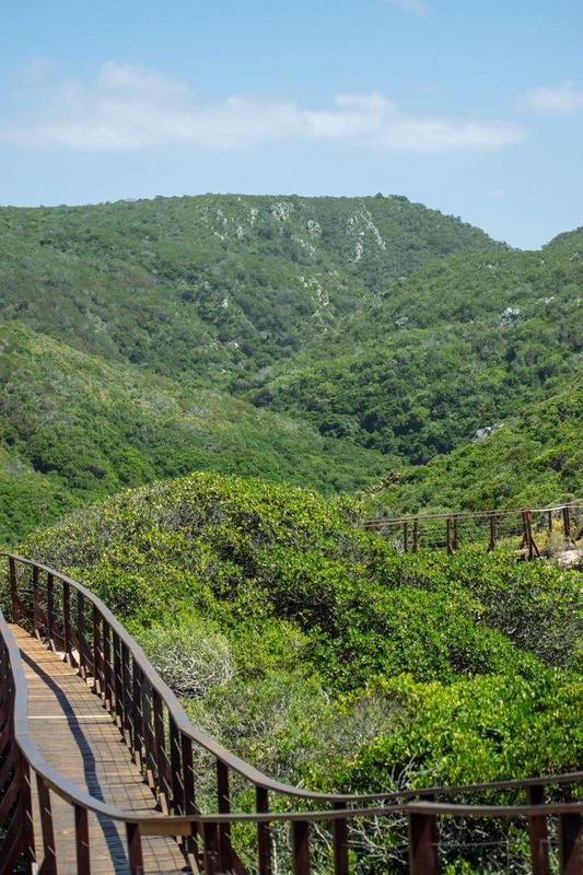 0 Bedroom Property for Sale in Moquini Western Cape